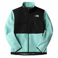 The North Face Delani Men's Jacket - Green von The North Face | BYAG.