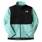 The North Face Delani Men's Jacket - Green von The North Face | BYAG.