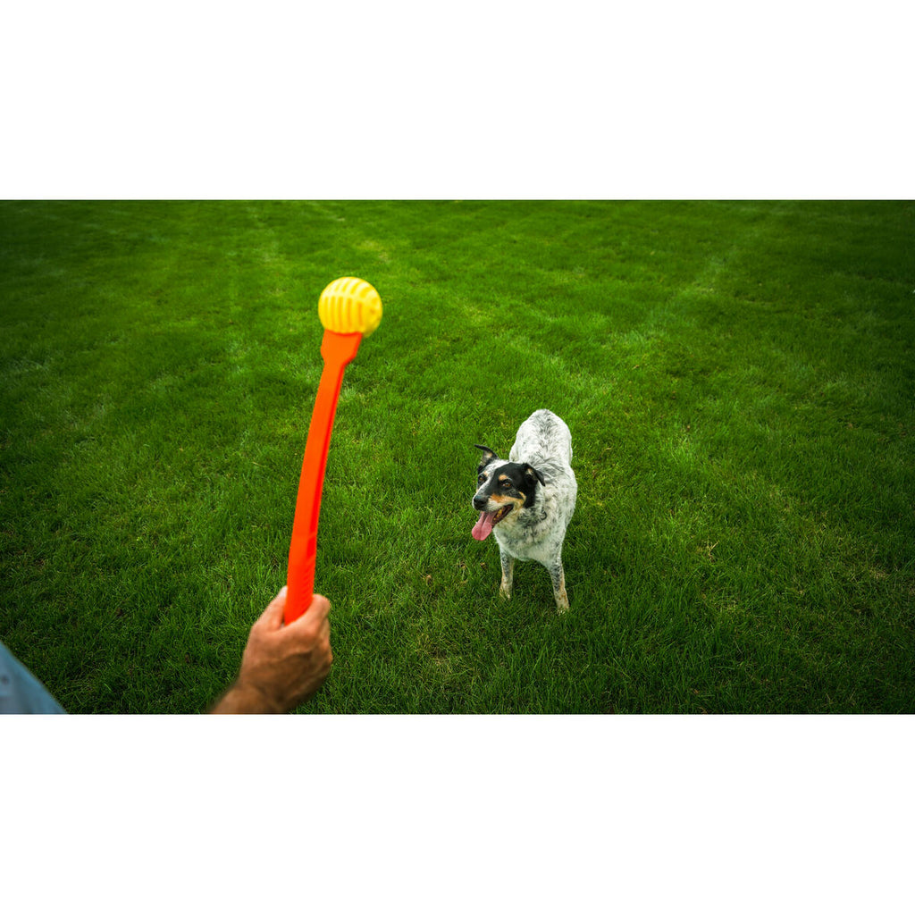 Hunter Ball Launcher für Dogs Gelb Orange Rubber Ball – Produktansicht 3