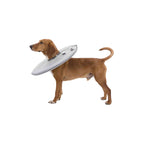 Trixie Halskrause für Hunde 19423 Grau Foam – Produktansicht 7