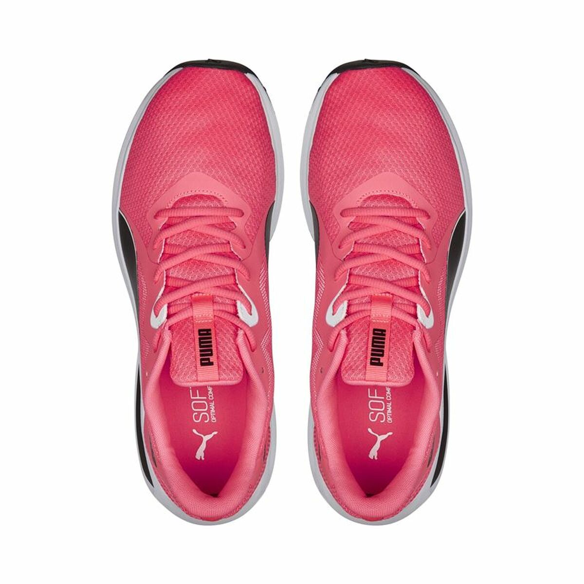 Running Shoes for Adults Puma Twitch Runner Pink Lady