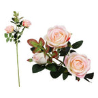 Stem aus 5 Roses – Produktansicht 2