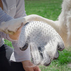InnovaGoods Haustier Bürste & Massage Glove Relpet – Produktansicht 2