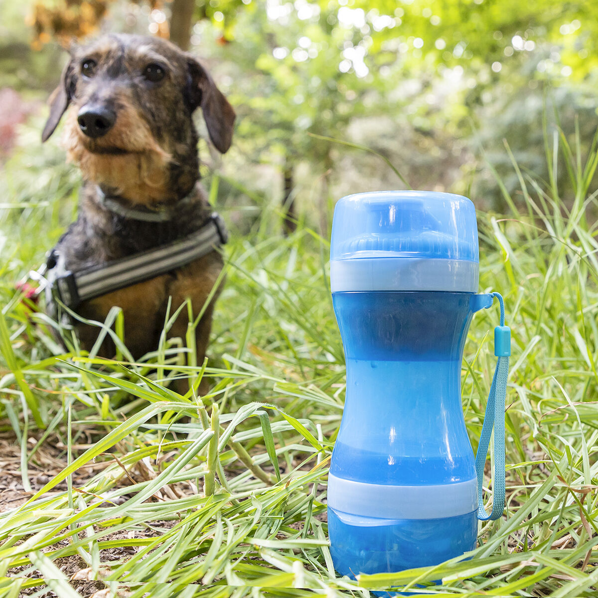 2-in-1 Flasche mit Wasser & food containers für Haustiere Pettap InnovaGoods – Produktansicht 1