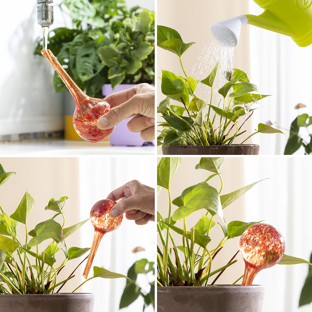 InnovaGoods Automatische Bewässerungskugeln Ballwooters – Produktansicht 3