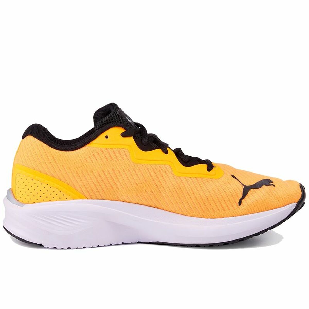 Puma Laufschuhe Erwachsene Aviator Profoam Sky Orange Herren - BYAG.LaufschuhePumaBYAG.S6482561Puma Laufschuhe Erwachsene Aviator Profoam Sky Orange Herren – 4444